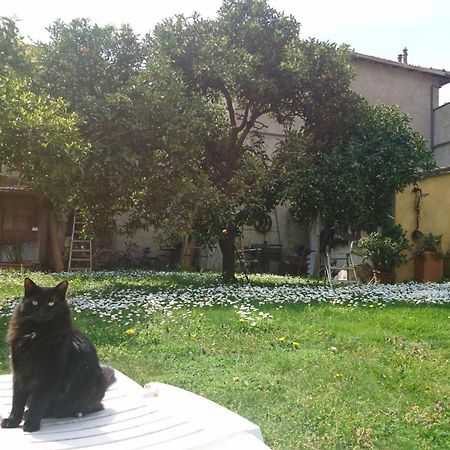 Oddi21 B&B Albenga Exterior photo